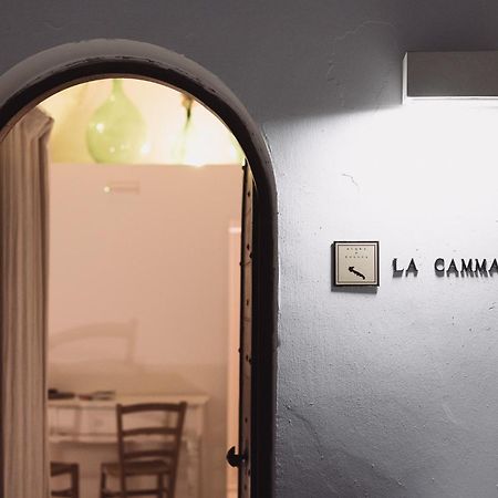La Cammara Al Duomo Lecce Luxury Apartment Exterior photo